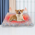 Load image into Gallery viewer, Pets Dog Bed Mat Crate Pad Soft Pet Bed Washable Crate Mat For Large Medium Small Dogs Reversible Fleece Dog Crate Kennel Mat Cat Bed Liner Super Soft Fluffy Premium Fleece Pet Blanket
